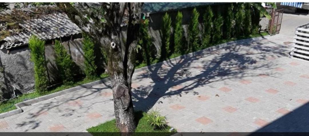 Sunny Days Hotel Kobuleti Exterior foto